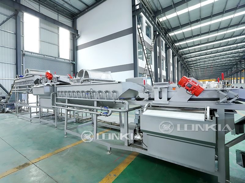 Salad Processing Line
