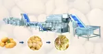 Potato Washing and Blanching Line
