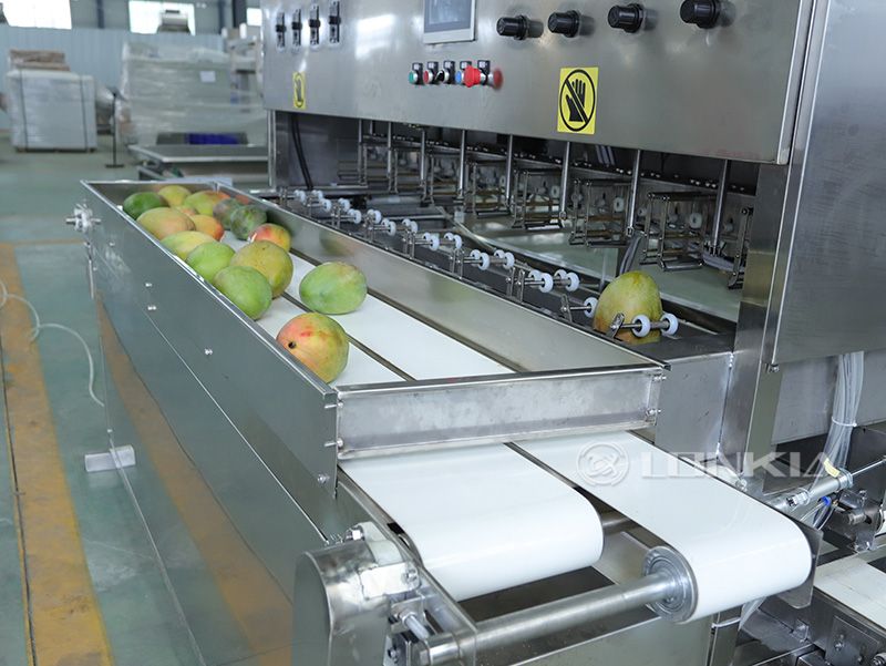 mango skin remover