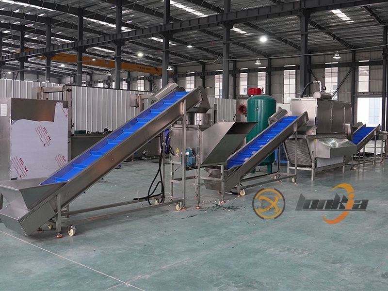Upgrading from Manual to 300kg/h Garlic Peeling Machine: What Will You Get?