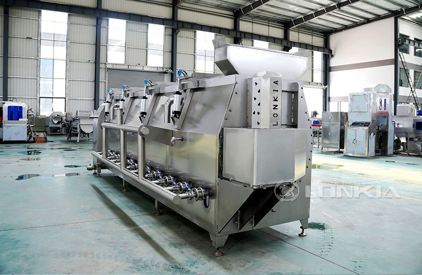 Squid Spiral Blanching Machine in Plant