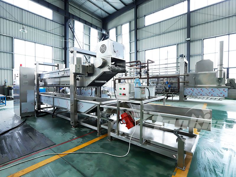 continuous fryer machine