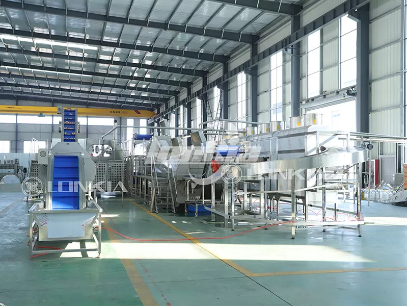How to Reduce Product Waste in an Automatic French Fries Production Line?
