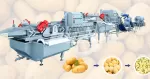 Potato Cutting and Washing Line
