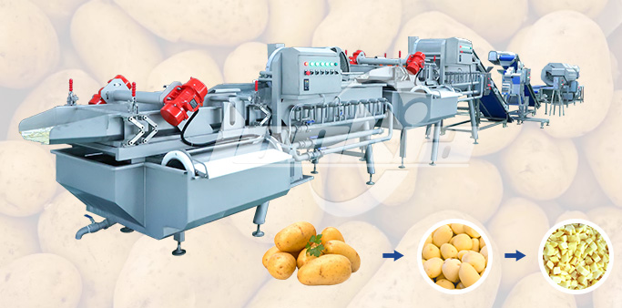 Potato Cutting and Washing Line