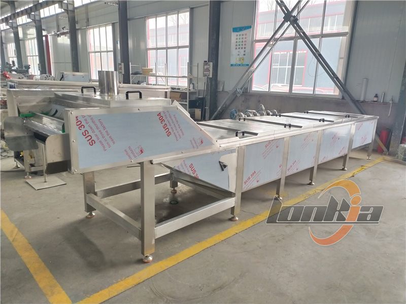 vegetable blanching machine for sale