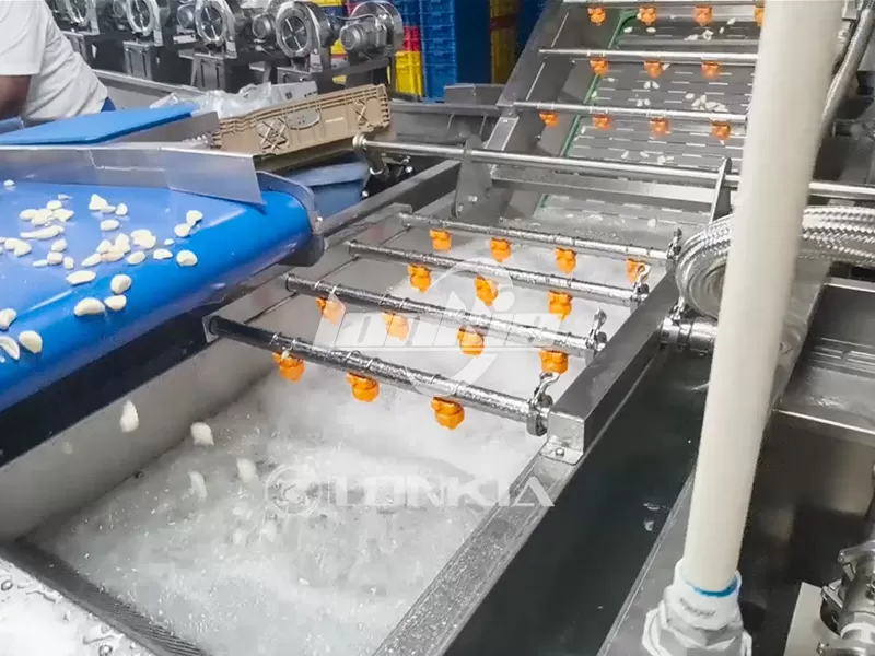 300kg/h Garlic Peeling Production Line Successfully Installed and Running in Jamaica