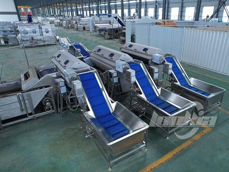 Brush Peeling Machine