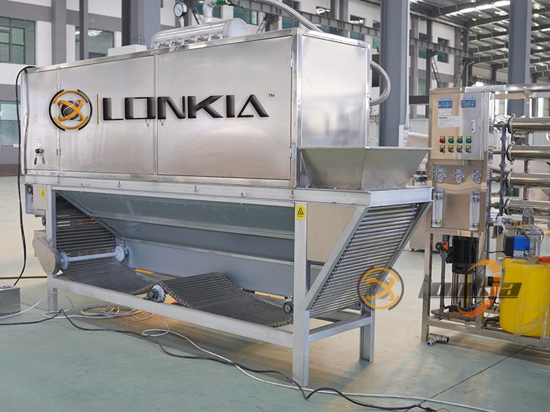 Upgrading from Manual to 300kg/h Garlic Peeling Machine: What Will You Get?