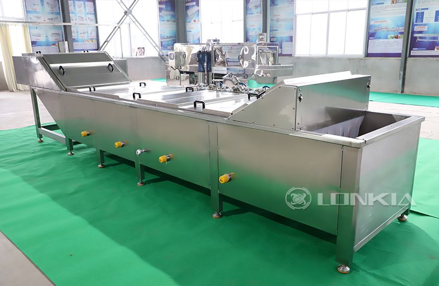 Lonkia Continuous Tomato Blanching Machine