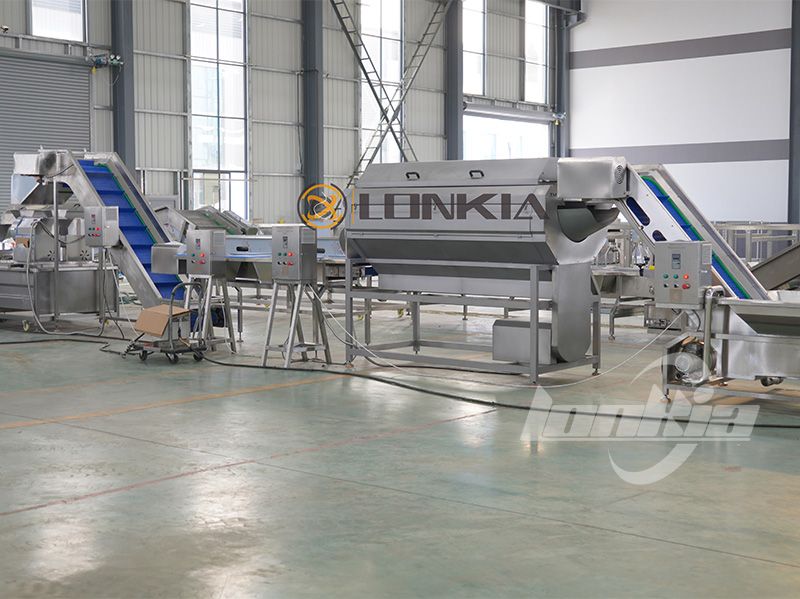 Fully Automatic Potato Chips Making Machine Price Guide for Efficient Production