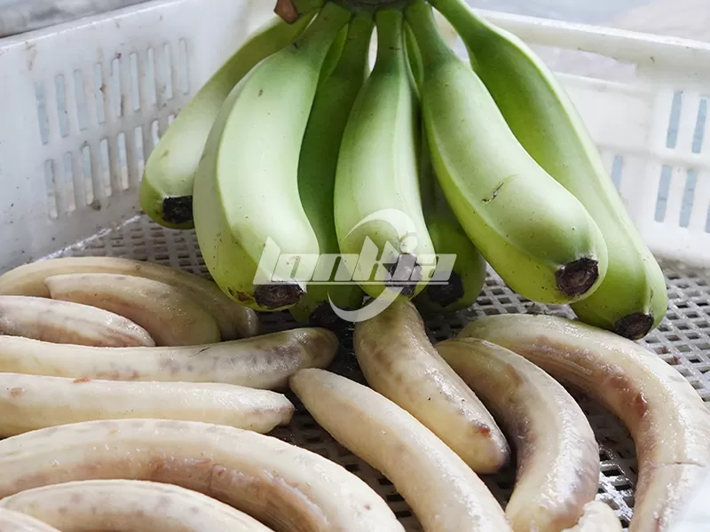 Banana Peeling Solution: High-Efficiency Steam Peeling Machine
