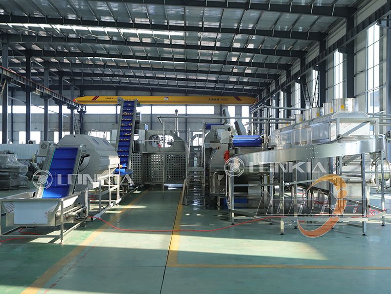 French fries making machine factory