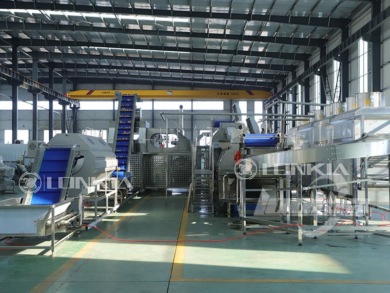 French fries production line price