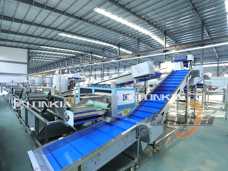 frozen French fries production line price