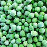 Quick Frozen Peas