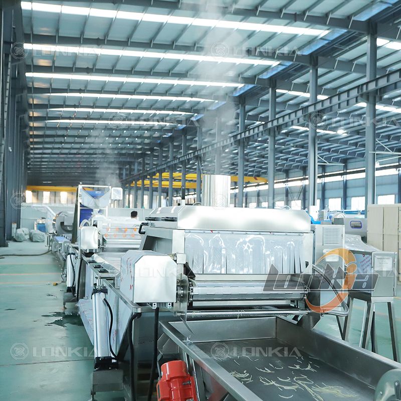 blanching machine for potatoes
