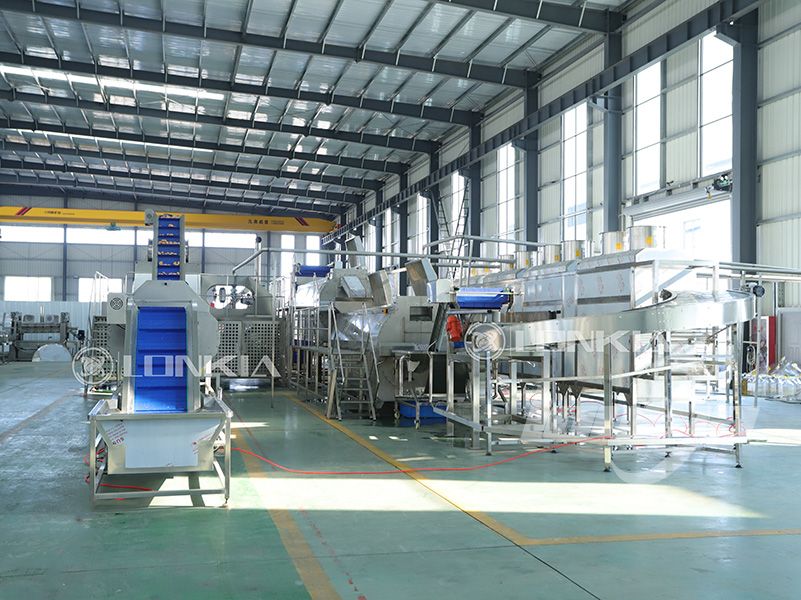 frozen potato production line for sale