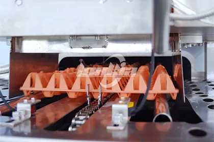 Egg Tray Washing Machine