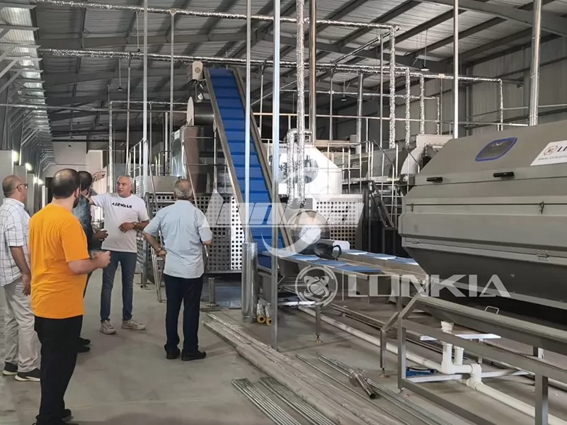 Lonkia 1.5 Tons/Hour French Fries Production Line Delivered to Egypt