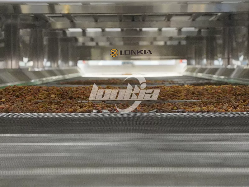 raisin processing