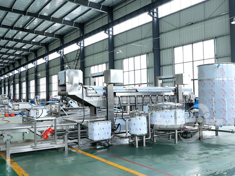 continuous frying machine