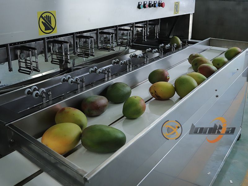 mango peeling machine factory