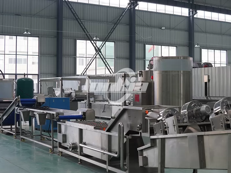 Lonkia Garlic Processing Line