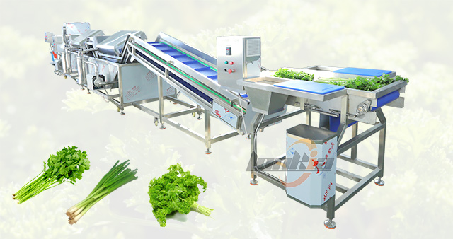 Parsley Vegetable Washing Line