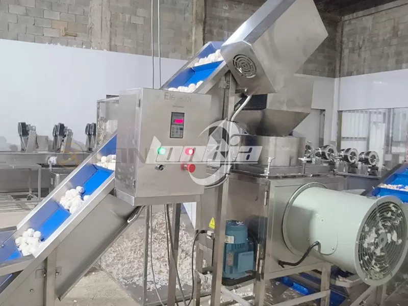 300kg/h Garlic Peeling Production Line Successfully Installed and Running in Jamaica