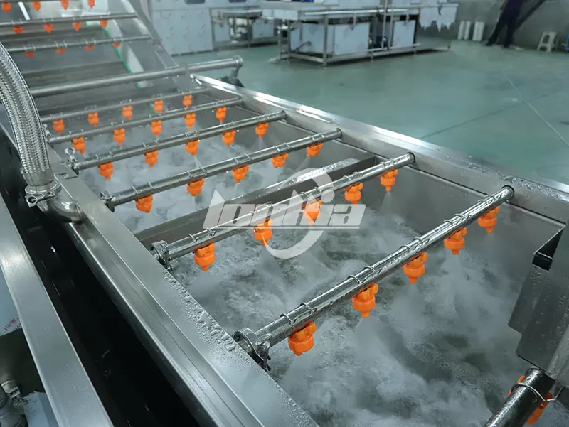 Complete Guide to Onion Processing Line Workflow