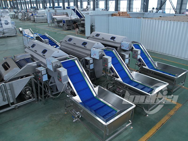 brush peeling machine price
