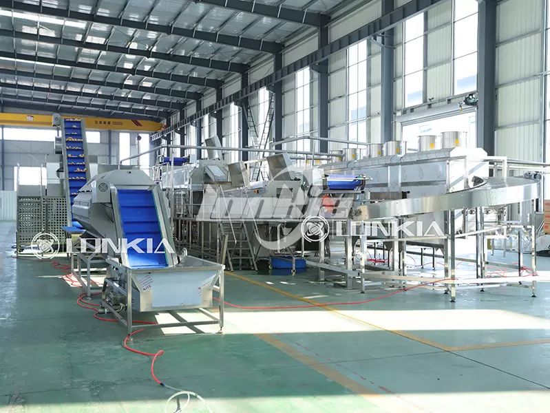 How Much Space Is Needed for a 1000kg/h French Fries Processing Plant?