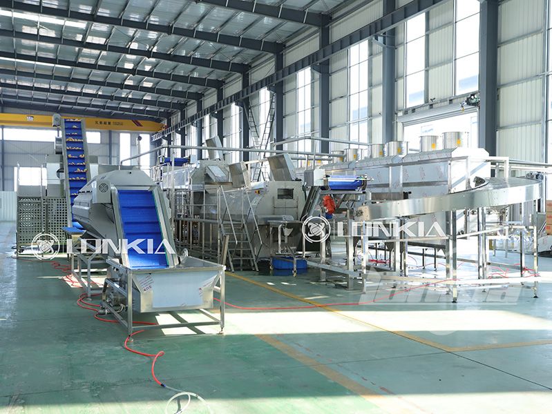 French fries production line