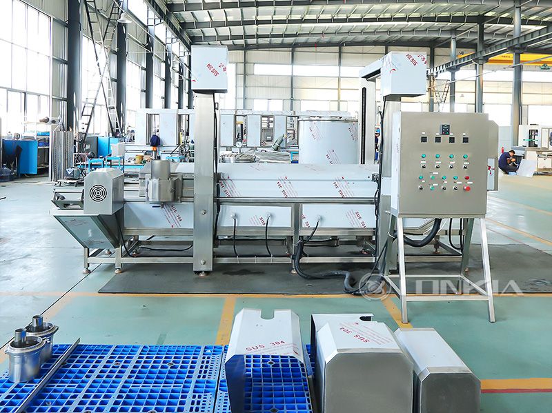 continuous fryer