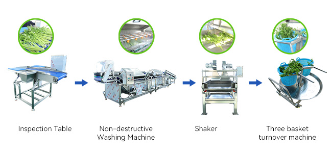 Parsley Vegetable Washing Line Flow Chart