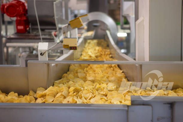 Fully Automatic Potato Chips Making Machine Price Guide for Efficient Production
