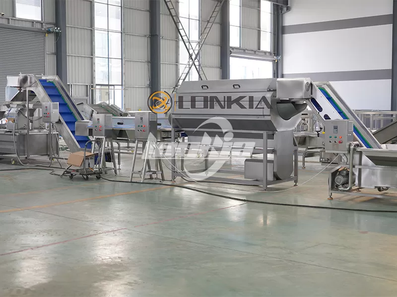 Upgrade Your Potato Chips Manufacturing Plant: How to Move from Semi-Automatic to Full Automation?
