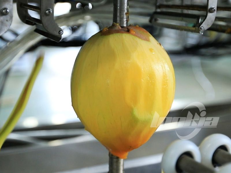 How Mango Peeling Machine Reduces Waste and Increases Fruit Processing Yield?