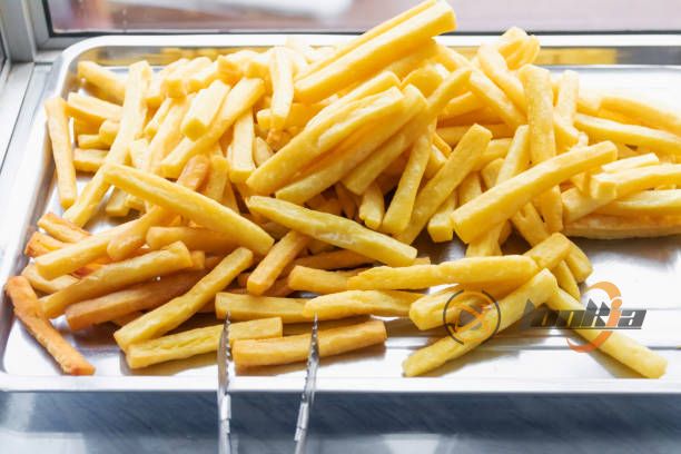 Feasibility of Setting Up an Automatic French Fries Production Line in Egypt