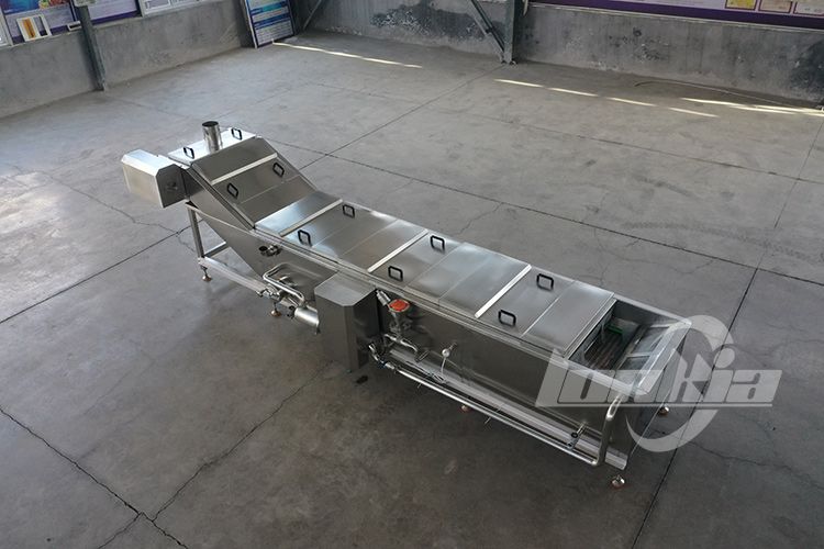 Choosing the Right Tomato Blanching Machine for Sauce and Paste Production