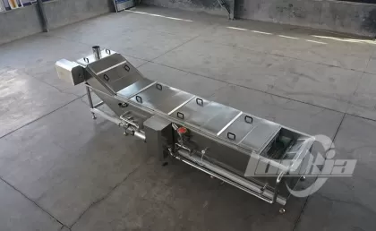 Choosing the Right Tomato Blanching Machine for Sauce and Paste Production