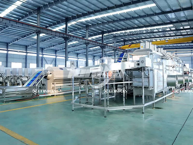 Automatic French Fries Making Machine