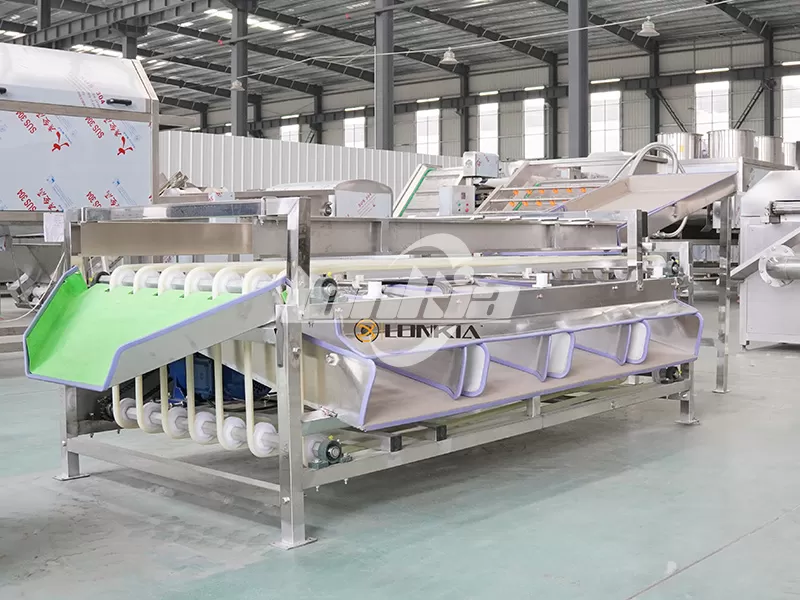 Automatic Fruit Sorting and Grading Machine for Potato Tomato Pepper Processing Plants