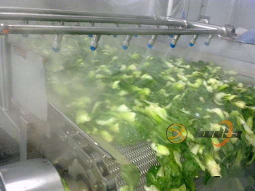 Continuous Blanching Machines: A Game-Changer for High-Volume Vegetable Processing