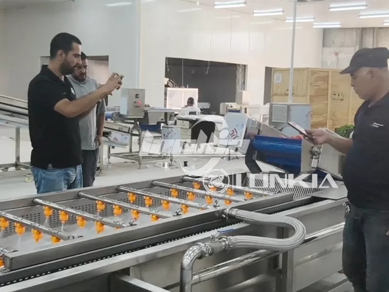 1 Ton/Hour Vegetable Processing Line for Sweet Pepper and Tomato to Jordan with Successful Installation