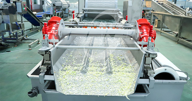 Leaf Vegetable Cutting and Washing Line Flow Chart