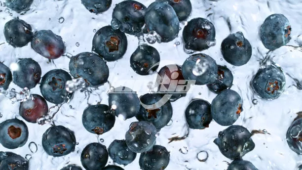 How to Choose the Right Capacity Blueberry Cleaner for Your Business?