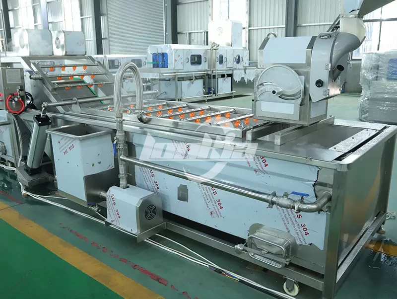 How to Choose the Right Capacity Blueberry Cleaner for Your Business?