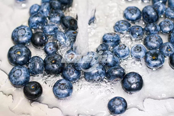Best Way to Wash Blueberries for Large Scale Farms and Processing Plants